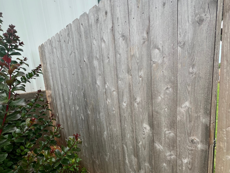 Freshwater Window Cleaning B&A
